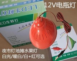 LED球泡燈 廠家直銷新款12VLED燈超亮夜市電瓶地攤燈45W節能生鮮水果燈線夾原始圖片2