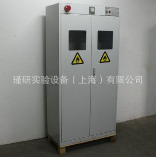 熱銷產品 廠家直銷CE認證氣瓶柜 實驗室報警氣瓶柜現貨，kf標定制！原始圖片2
