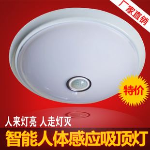 工程吸頂燈系列 吸頂燈 圓形 40w 環(huán)形節(jié)能燈管t6 工程過道陽臺燈低價批發(fā)廠家