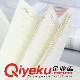 B5-18K 廠家直銷(xiāo) 韓國(guó)文具日記本 A5皮面平裝記事本 商務(wù)筆記本定制LOGO原始圖片2