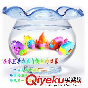 【贈品促銷專區(qū)】 2015新款魚鰓跟尾巴都會動的發(fā)條小魚 上鏈七彩魚 其他益智玩具