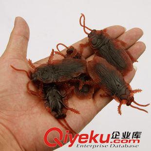 整蠱搞怪玩具 【學生{za}】仿真蟑螂 惡搞嚇人整蠱玩具 愚人節搞笑惡作劇原始圖片2