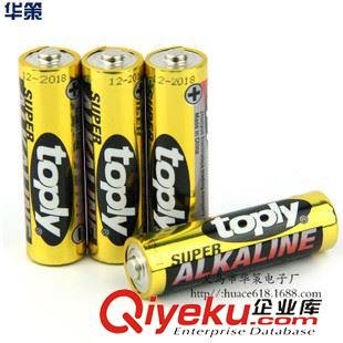 5號(hào) 廠家直銷toply牌5號(hào)堿性電池5號(hào)無汞環(huán)保堿性干電池 數(shù)碼相機(jī)電池