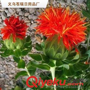 藏紅花 江湖地?cái)傂庐a(chǎn)品火爆上市 西藏圣藥藏紅花 bx圣品 美容養(yǎng)顏紅花原始圖片2