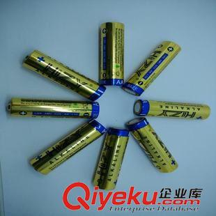 美容美發器材專用電池 全國銷售5號堿性干電池 AA智能門鎖一次性高容量電池LR6原始圖片2