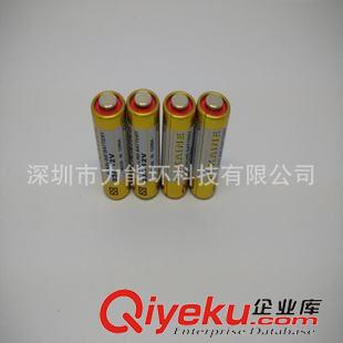 銀行密碼器專用電池 供應(yīng)12V23A高品質(zhì)一次性電池 轉(zhuǎn)簾門計步器專用12V電池