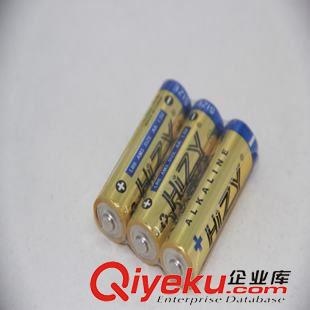 醫(yī)療器械專用電池 現(xiàn)貨供應探測器測試儀專用5號電池 AA5號堿性一次性干電池