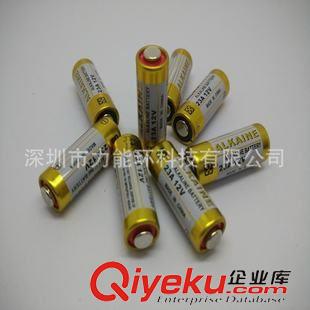 醫療器械專用電池 熱銷12V23A堿錳干電池 無線控制器電池 煙霧bjq干電池原始圖片2