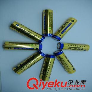 醫(yī)療器械專(zhuān)用電池 全國(guó)銷(xiāo)售5號(hào)堿性干電池 AA智能門(mén)鎖一次性高容量電池LR6原始圖片2