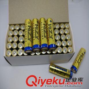 醫(yī)療器械專(zhuān)用電池 全國(guó)銷(xiāo)售5號(hào)堿性干電池 AA智能門(mén)鎖一次性高容量電池LR6原始圖片3