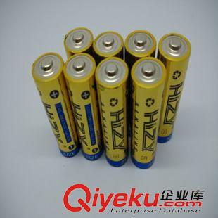 醫療器械專用電池 直銷電動洗臉儀專用7號電池 AAA7號堿性LR03干電池 環保足容電池