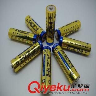 電動剃須刀專用電池 現貨供應探測器測試儀專用5號電池 AA5號堿性一次性干電池