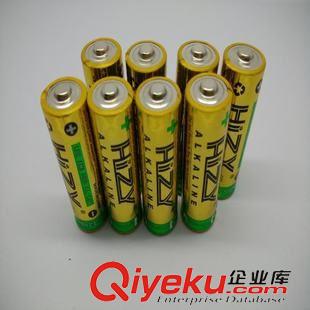 收音機音箱麥克風專用電池 廠家直銷移動電源5號電池 AA堿性干電池LR6原始圖片2