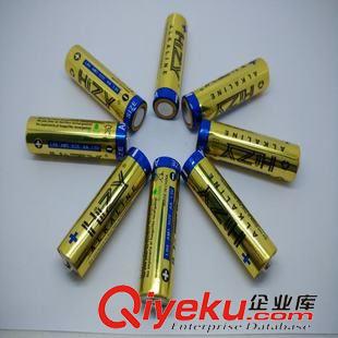 移動電源專用電池 供應1.5V家用環(huán)保電池 按摩器專用干電池 5號AA堿性高容電池原始圖片2