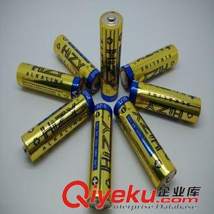 電動工具專用電池 供應(yīng)電子鎖電池 5號高容堿性AA電池 LR6放電時間長不漏液干電池原始圖片2