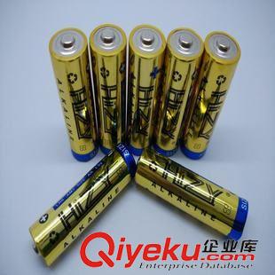 電動(dòng)工具專用電池 玩具電池 游戲機(jī)手柄電池 5號AA堿性電池 1.5V一次性干電池原始圖片2