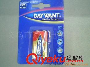 堿性電池（5號.7號.1.） 1.5V堿性電池Alkaline Battery