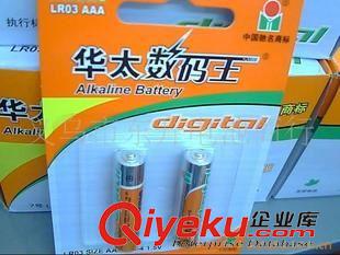 堿性電池（5號.7號.1.） 廠家直銷適用數碼相機電動玩具5號2節華太數碼王特強堿性電池七號原始圖片2