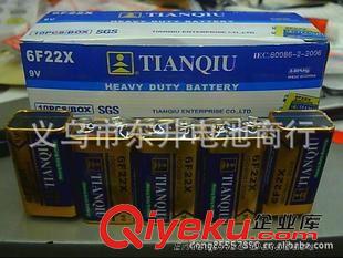 天球．天益．各種中英文國產．進口牌子等 zp天球9V電池 萬用表測試儀話筒專用方塊9號干電池6F22 9V電池
