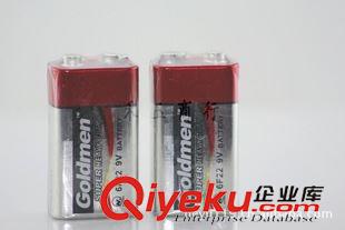 9V干電池 供應(yīng)儀器儀表電池 9V電池批發(fā) 9V充電電池 9V干電池 6F22電池