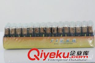 TICER 五號電池批發5號電池5號干電池AA 充電電池 碳性電池5號堿性電池