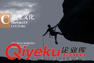 樣本畫冊 包郵 畫冊印刷 樣本印刷 單頁印刷 公司畫冊 宣傳單印刷 畫冊印刷