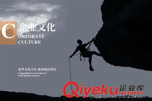 樣本畫冊 包郵 畫冊印刷 樣本印刷 單頁印刷 公司畫冊 宣傳單印刷 畫冊印刷原始圖片2