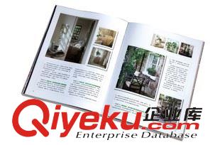 樣本畫冊(cè) 印刷廠 宣傳冊(cè) 目錄說明書 樣本畫冊(cè)印刷 設(shè)計(jì)157 DM彩頁訂做logo原始圖片2