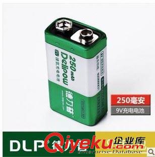 9V電池 6F22電池 6LR61電池 【廠家直銷】德力普充電9V 6F22{wn}表專用電池 玩具遙控電池