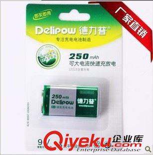 9V電池 6F22電池 6LR61電池 【廠家直銷】德力普9V充電250容量 6F22玩具電池 {wn}表專用電池