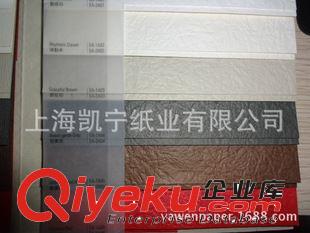 gd藝術紙 CYP設計用紙有感紙樹織紋繽紛手揉紋 樹纖紙 110/170/250克原始圖片3
