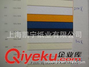 gd藝術(shù)紙 140-300克汀特萊特 丁特里特藝術(shù)紙?jiān)紙D片2