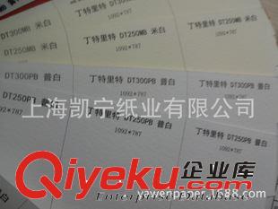 gd藝術(shù)紙 140-300克汀特萊特 丁特里特藝術(shù)紙?jiān)紙D片3