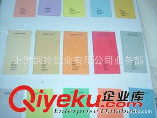 彩色卡紙 供應(yīng)80克紀(jì)州彩色紙日本彩膠紙濟州色紙原始圖片2