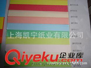 彩色卡紙 供應(yīng)進(jìn)口80/130/160/210克紀(jì)州色紙、印尼色紙原始圖片2