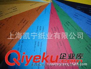 彩色卡紙 供應(yīng)國產(chǎn)210克皮紋紙?jiān)撇始?圖)  正大度 15色原始圖片2
