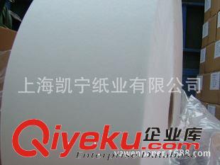 文化用紙 供應防靜電Unipar無塵打印紙凈化紙無塵紙