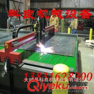 數控鐵板切割機 專業供應數控火焰切割機 龍門數控切割機 質量保證原始圖片3