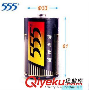 1號電池 555大號堿性電池 高性能1號堿性LR20電池2粒裝適熱水器煤氣灶電池