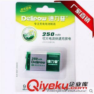 9V电池 德力普 9V充电电池250毫安高容量九伏充电电池6F22玩具{wn}表电池