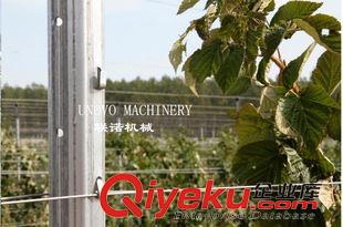 未分類 金屬葡萄柱   廠家熱銷鍍鋅鋼葡萄柱