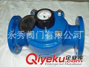 水表 專業(yè)  垂直螺翼式水表高靈敏水表高量程WS-50-200原始圖片2
