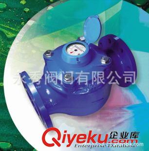 水表 工業(yè)水表/人民牌水表/福達(dá)牌水表/通球牌水表/埃美柯水表