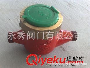水表 專業  水表/五羊牌水表/人民牌水表 通球牌水表/埃美柯水原始圖片3