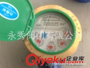 水表 專業(yè)  水表  旋翼液封水表LXS-15F廣東總代理原始圖片2