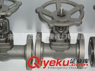 柳龍牌閘閥 精品供應(yīng) 廠家直銷  彈性座封閘閥   Z41X-10/16Q（B1)