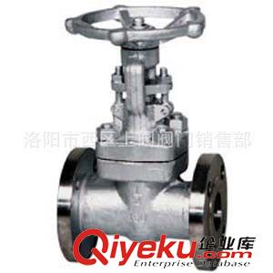 柳龍牌閘閥 供應(yīng)廣東廣西湖南湖北鍛鋼高壓閘閥 法蘭高壓閘閥Z41H-160原始圖片2