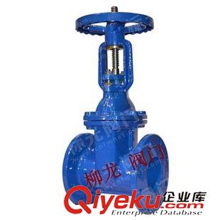柳龍牌閘閥 供應(yīng)旁通閘閥/平行式雙閘板（帶旁通閥）