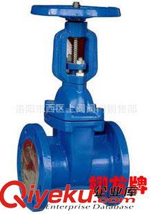 柳龍牌閘閥 精品供應(yīng) 廠價直銷 彈性座封閘閥Z41X-10/16Q（B1. 銅配件）原始圖片2
