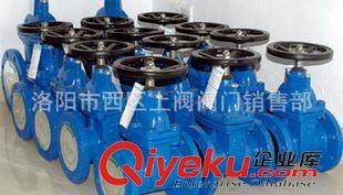 柳龍牌閘閥 供應上海閥門Z45X（RVHX）型彈性暗桿標尺座封閘門 閥門上海原始圖片2